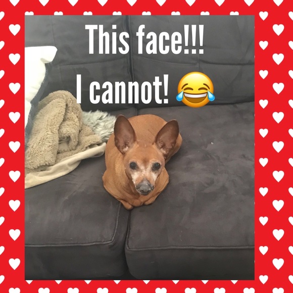 Meet your Posher, Cassandra - Picture 2 of 4